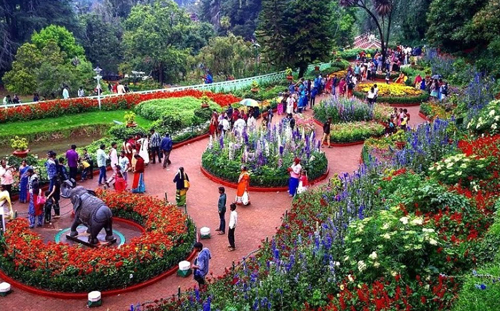 Botanical Garden Ooty Tourist Place
